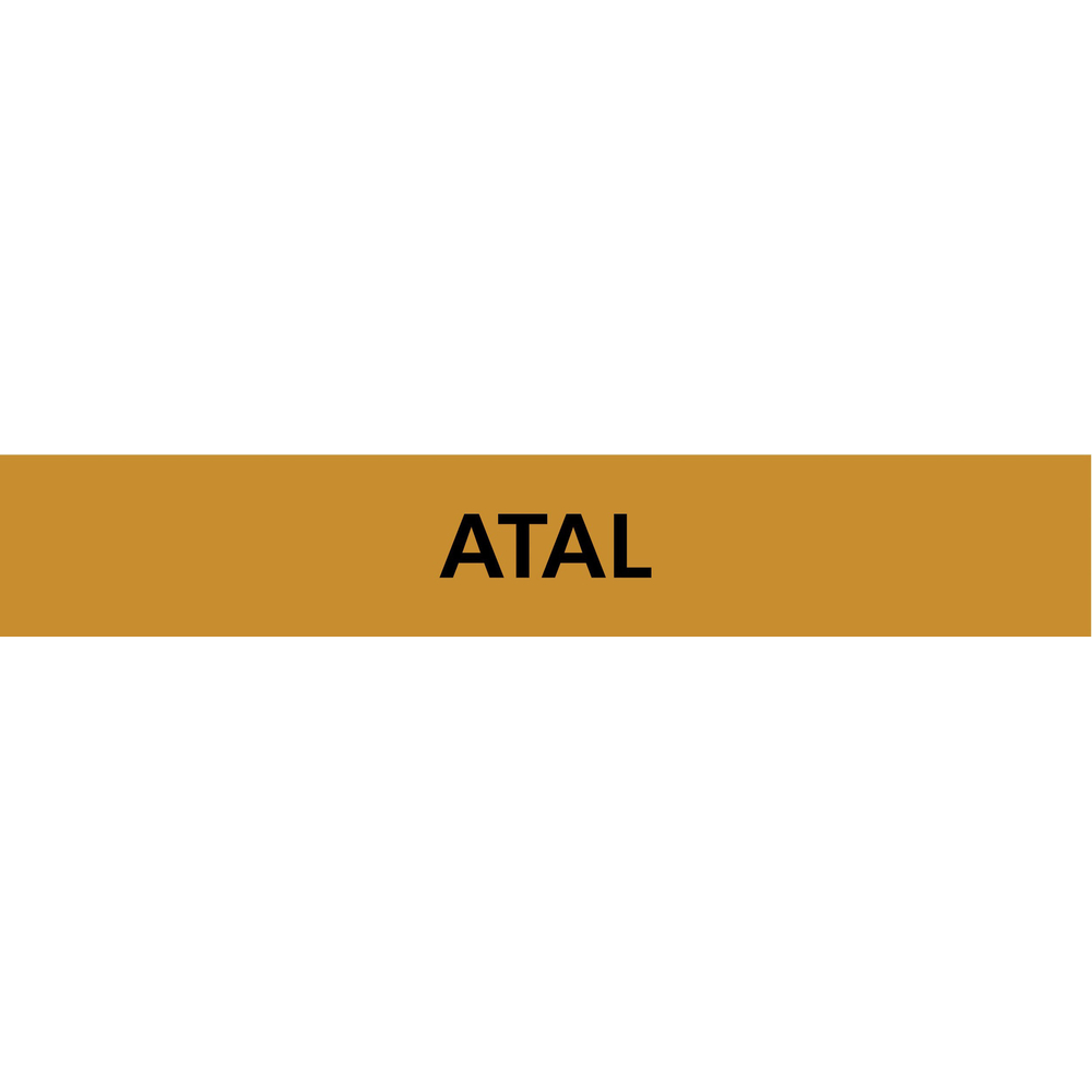 PANNEAU ATAL 312X52MM (10 ADHESIFS POUR TUYAUTERIE) TALIAPLAST - 730506