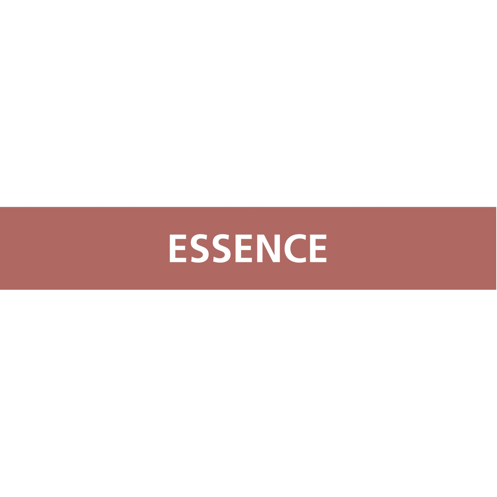 Signalétique de marquage LIQUIDE 312X52 Essence 312x52mm (10 adhesifs pour tuyauterie) TALIAPLAST - 730610