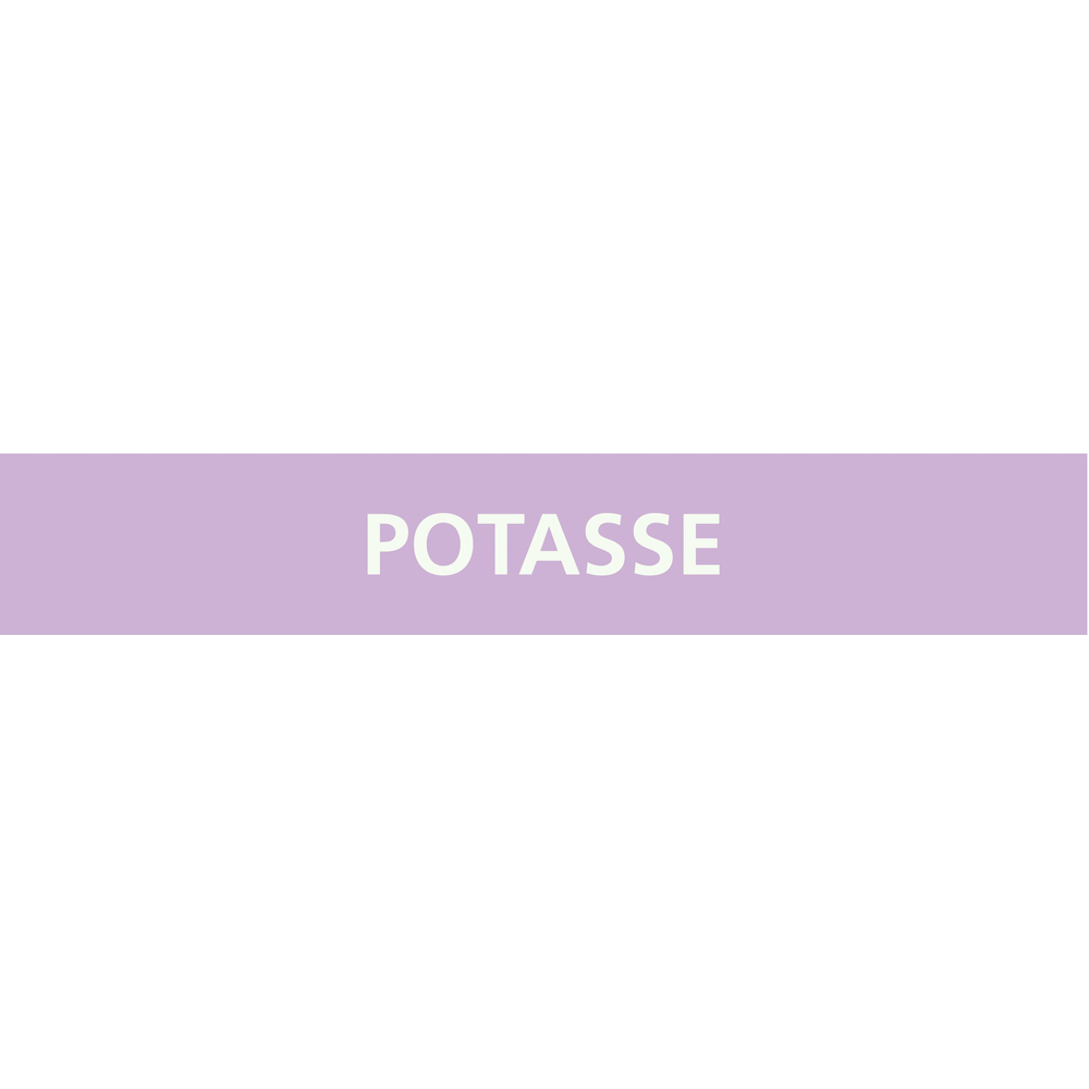 Signalétique de marquage ACIDE 312X52 Potasse 312x52mm (10 adhesifs pour tuyauterie) TALIAPLAST - 730741