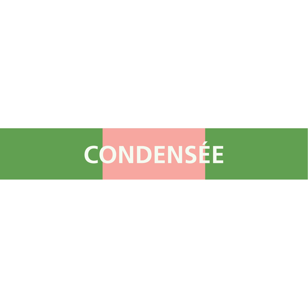 PANNEAU CONDENSÉE 312X52MM (10 ADHESIFS POUR TUYAUTERIE) TALIAPLAST - 730811