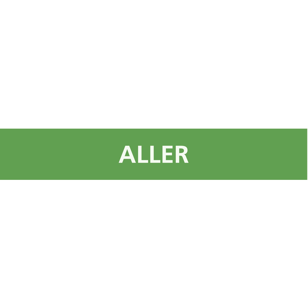 PANNEAU ALLER 222X37MM (20 ADHESIFS POUR TUYAUTERIE) TALIAPLAST - 731101