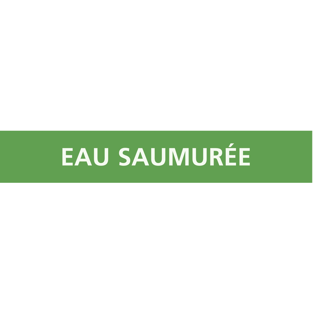 Eau saumurée 222x37mm (20 adhesifs pour tuyauterie) TALIAPLAST - 731194