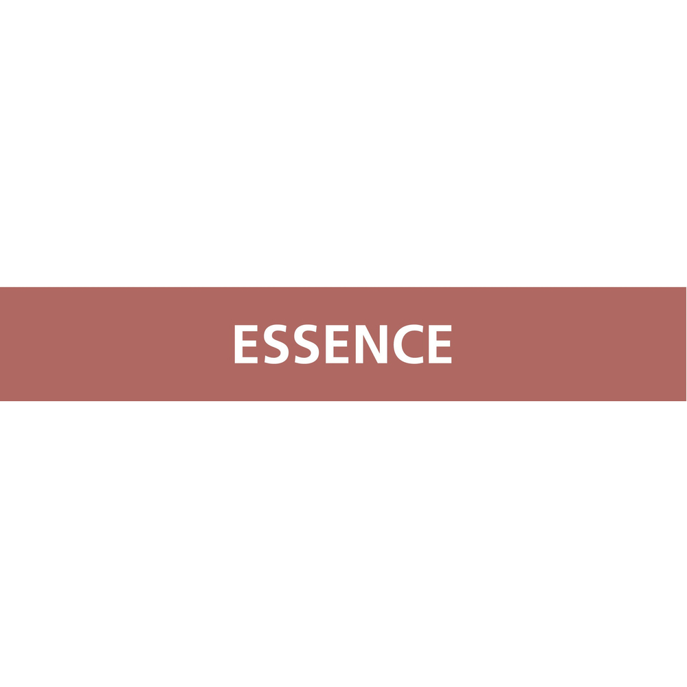 Signalétique de marquage LIQUIDE 222X37 Essence 222x37mm (20 adhesifs pour tuyauterie) TALIAPLAST - 731610