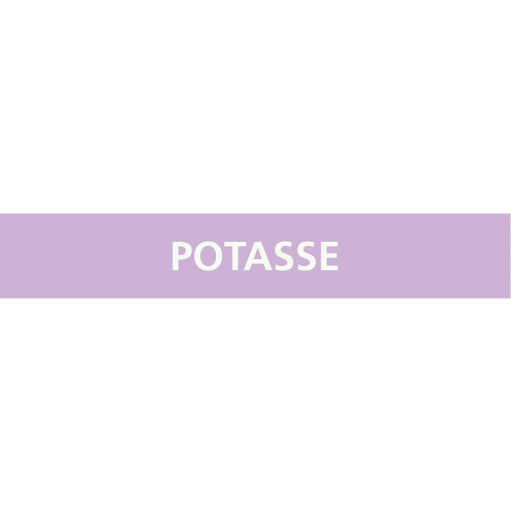 Signalétique de marquage ACIDES 222X37 Potasse 222x37mm (20 adhesifs pour tuyauterie) TALIAPLAST - 731741