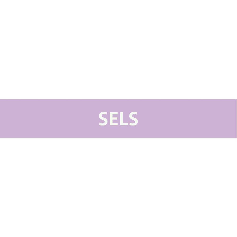 Signalétique de marquage ACIDES 222X37 Sels 222x37mm (20 adhesifs pour tuyauterie) TALIAPLAST - 731742