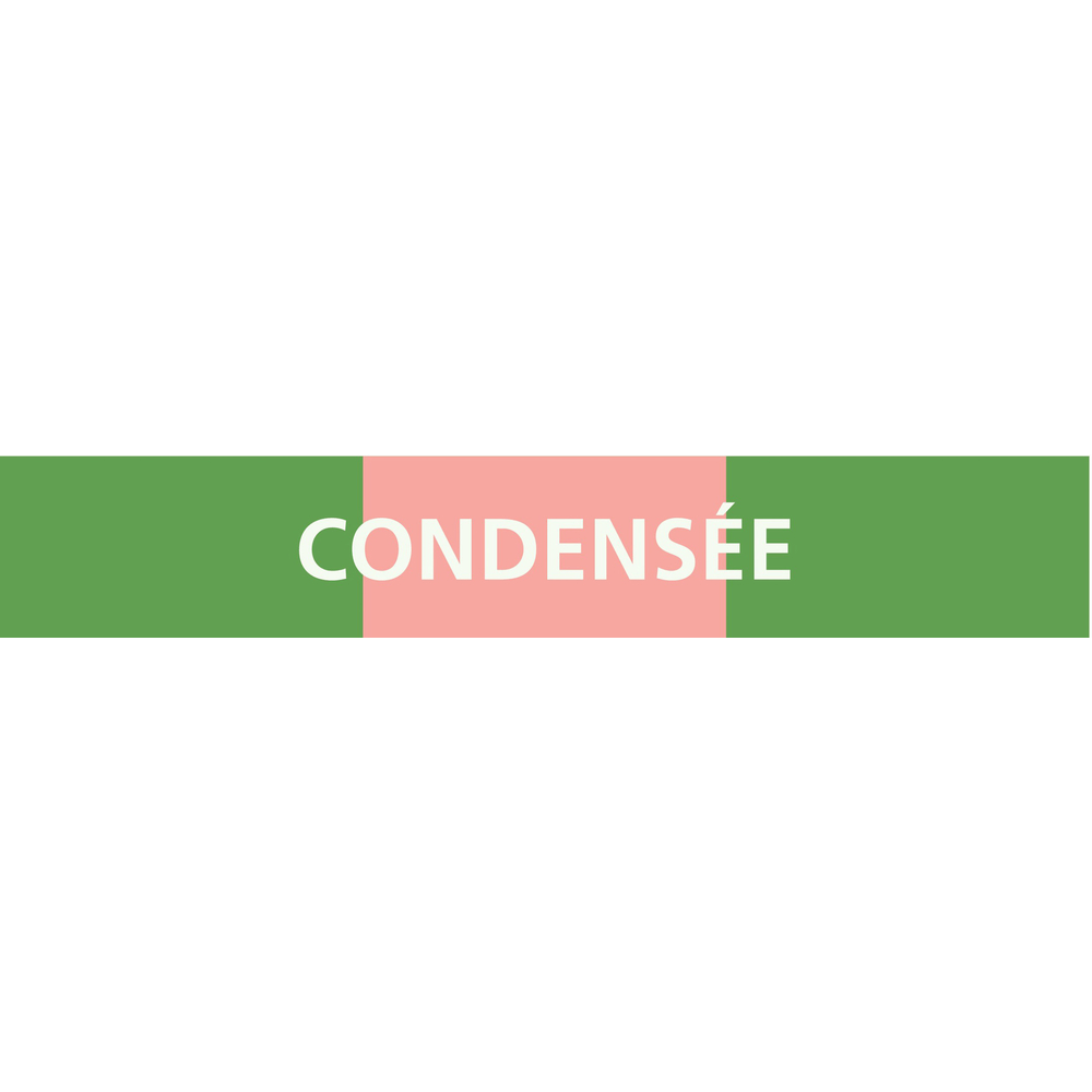 PANNEAU CONDENSÉE 222X37MM (20 ADHESIFS POUR TUYAUTERIE) TALIAPLAST - 731811