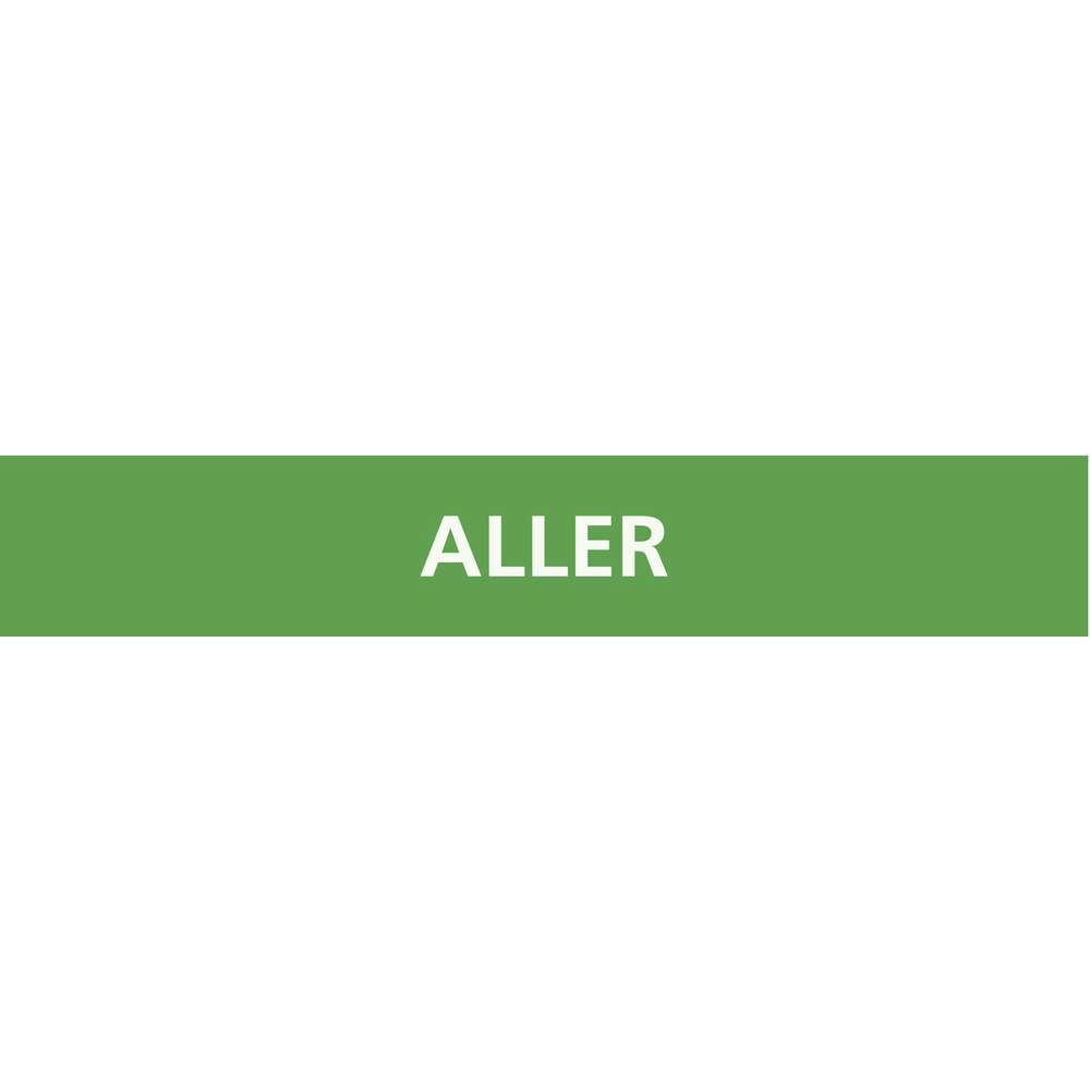 PANNEAU ALLER 156X26MM (20 ADHESIFS POUR TUYAUTERIE) TALIAPLAST - 732101