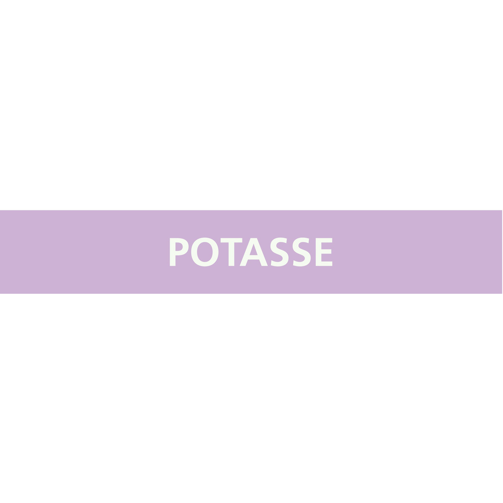 Signalétique de marquage ACIDES 156X26 Potasse 156x26mm (20 adhesifs pour tuyauterie) TALIAPLAST - 732741