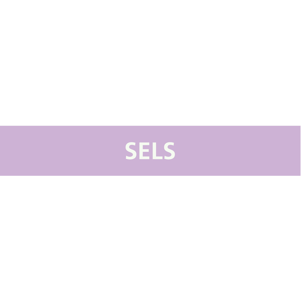 Signalétique de marquage ACIDES 156X26 Sels 156x26mm (20 adhesifs pour tuyauterie) TALIAPLAST - 732742