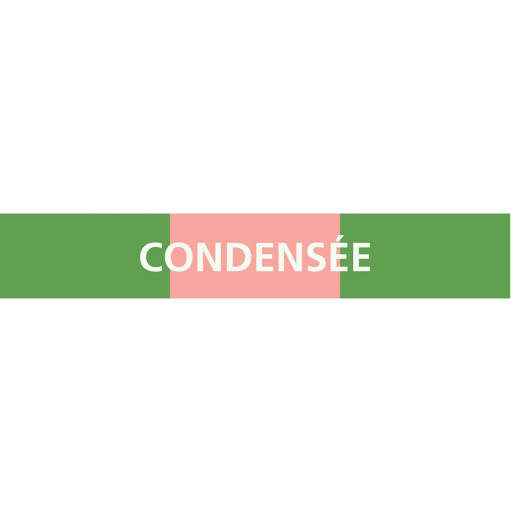 PANNEAU CONDENSÉE 156X26MM (20 ADHESIFS POUR TUYAUTERIE) TALIAPLAST - 732811