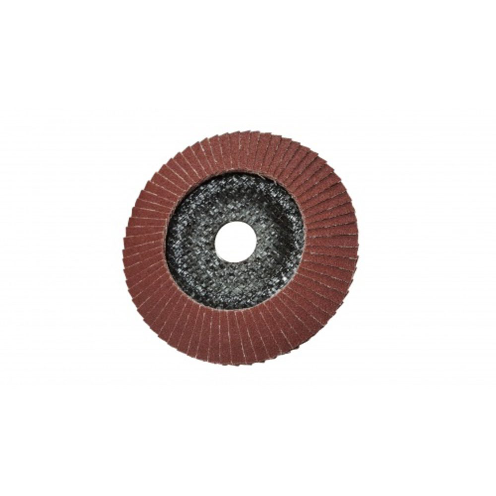 Disque a lamelles d. 125x22,23 grain 80 SAM OUTILLAGE - 125802