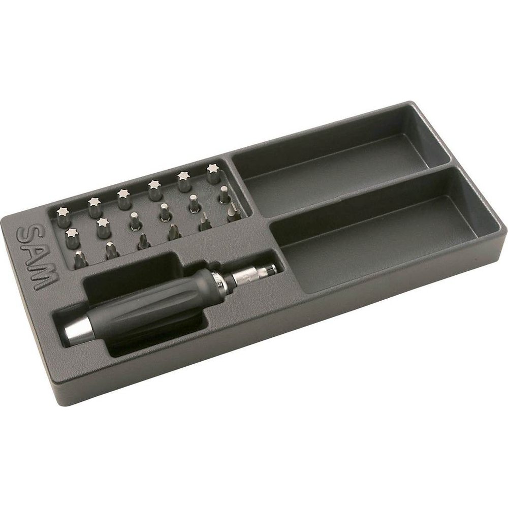 MODULE TOURNEVIS A FRAPPER SAM OUTILLAGE - 270AJ20M