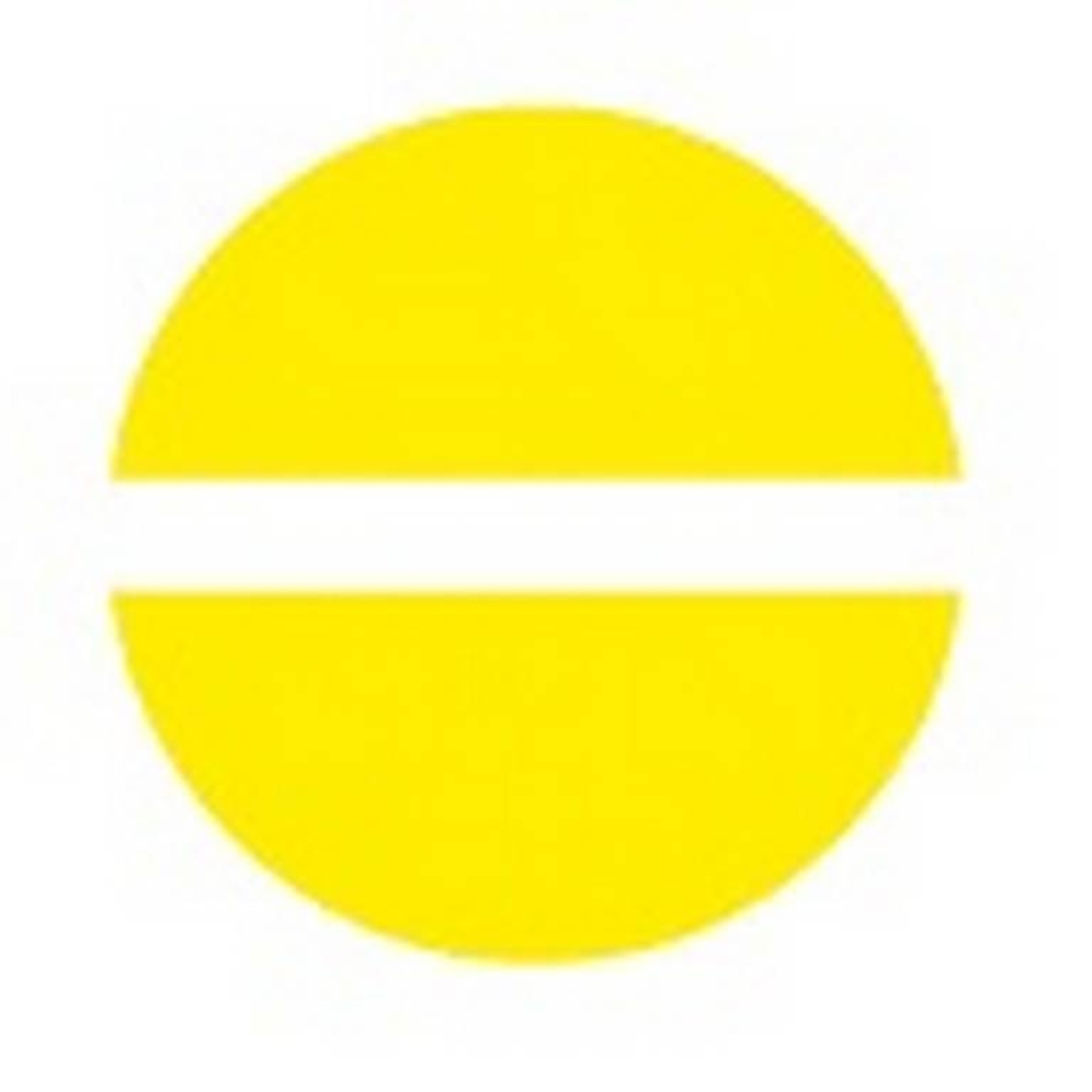 TOURNEVIS BIMATIERE S1 MECANICIEN HEXAGONAL 12X250 SAM OUTILLAGE - T12MH250