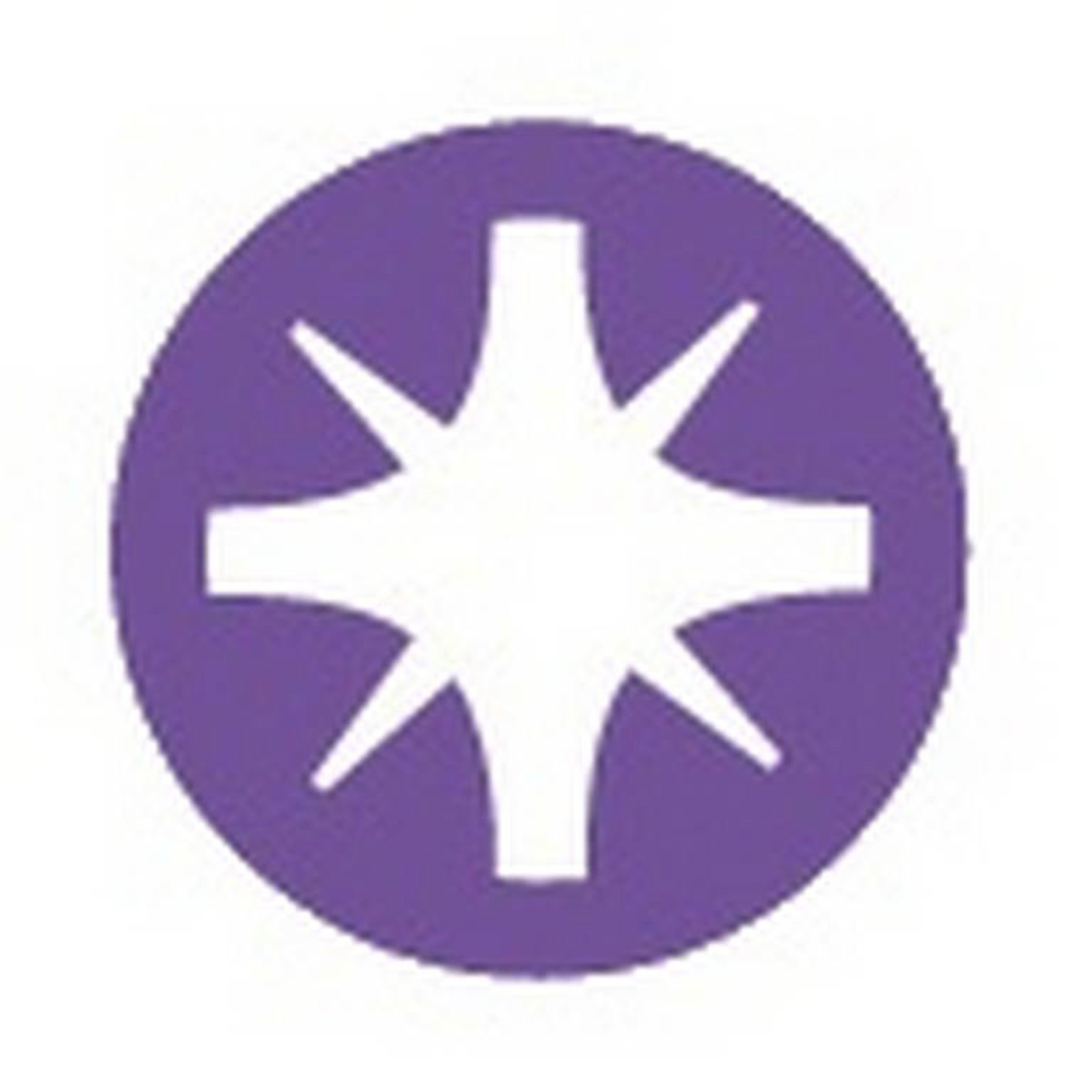 TOURNEVIS POZIDRIV 1X100 MM SAM OUTILLAGE - TA1PZ100