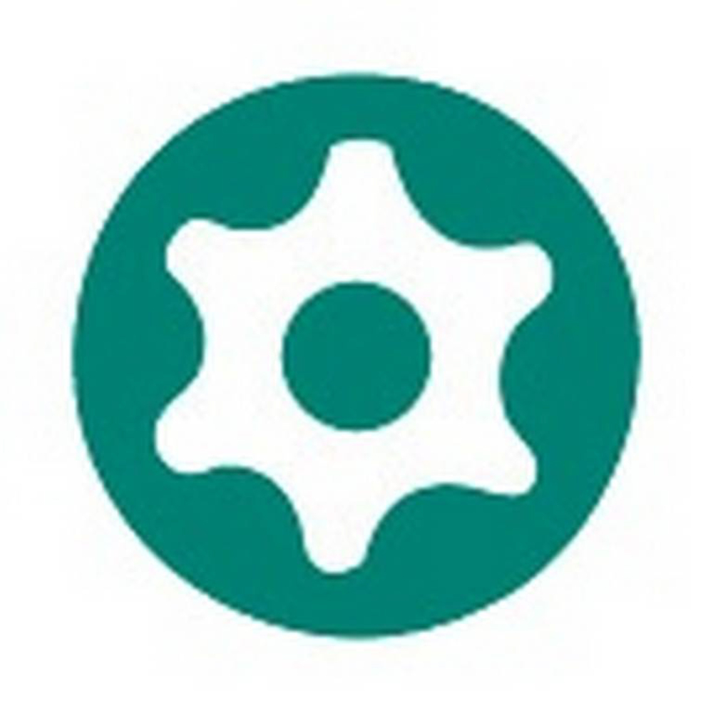 TOURNEVIS RESISTORX 20X100 MM SAM OUTILLAGE - TA20R100