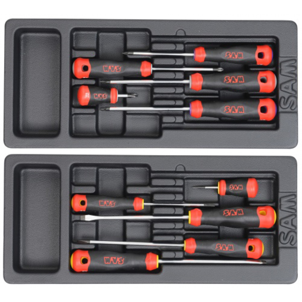 Module abs 1/3 de 10 tournevis bi-matiere SAM OUTILLAGE - TPPZJ10M