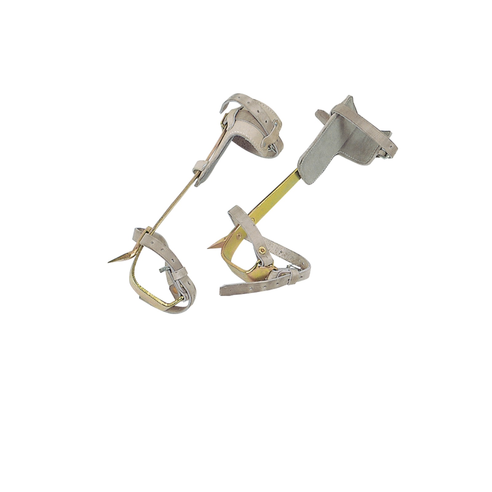 Grimpettes acier forgé 1 pointe interchangeable SASSI 00054