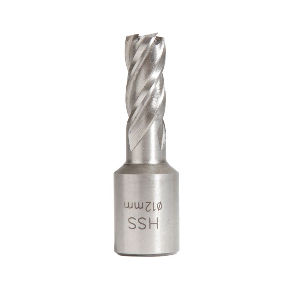 FRAISE HSS H25MM WELDON 19 MM D.12