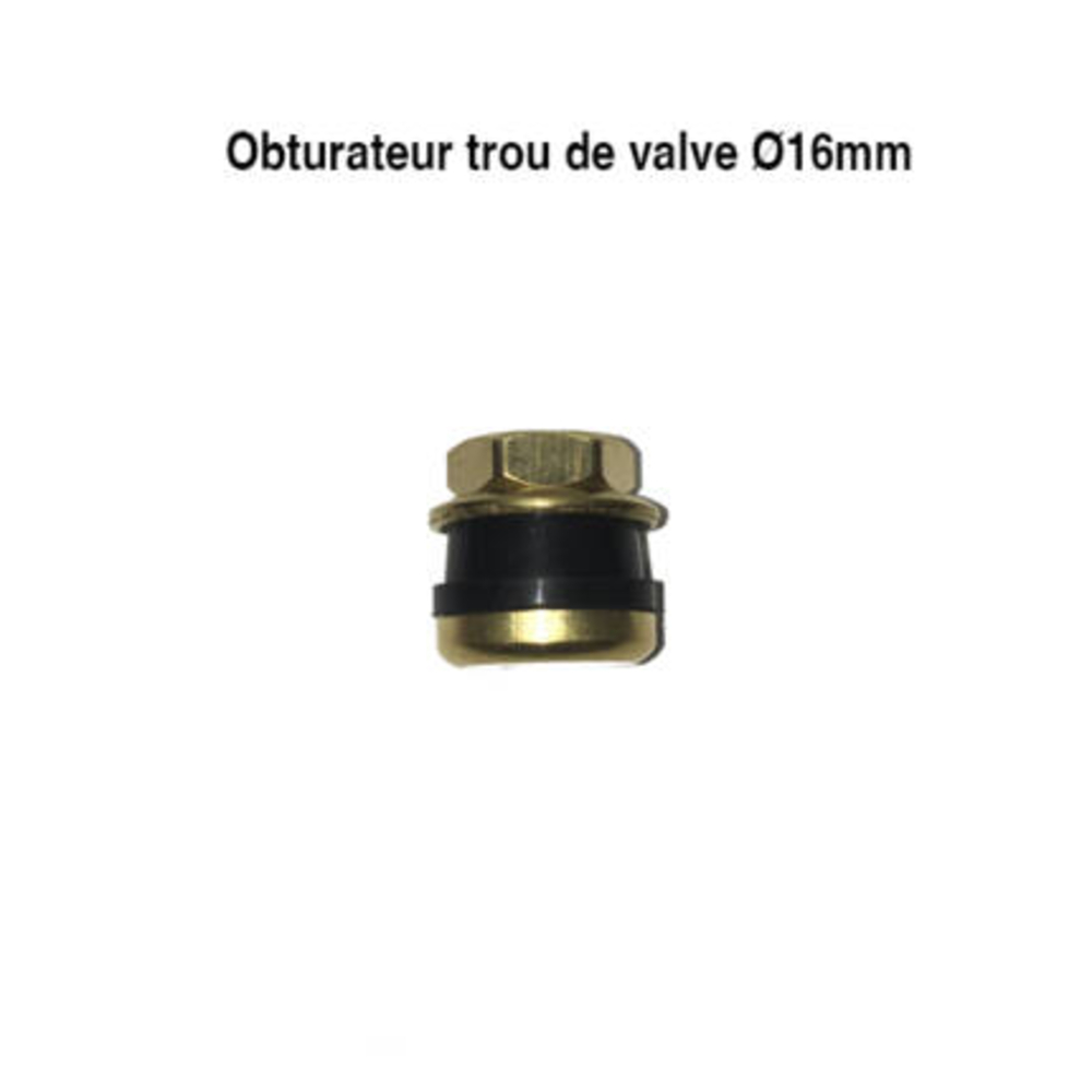 Rallonge OBTURATEUR TROU DE VALVE D16 - SONAMIA - S002539