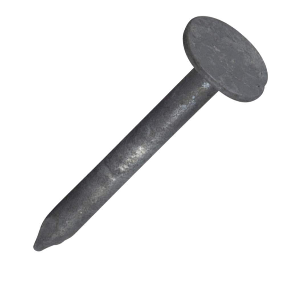 1000 pointe ardoise tête exra large - acier galvanisé C3 - Ø2,1x20mm - SCELL-IT - EX-7772361