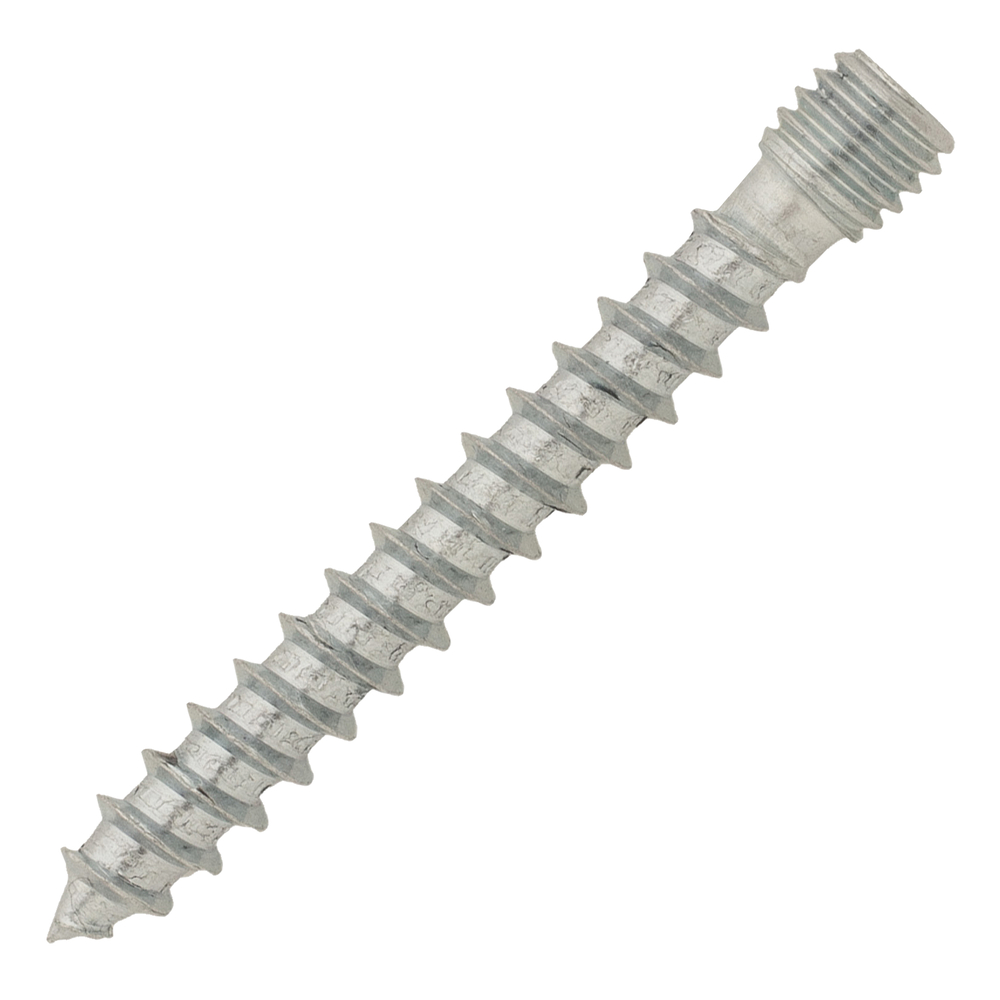 50 pattes à vis bois - sans collerette - 50mm - SCELL-IT - PAVBSC8X50