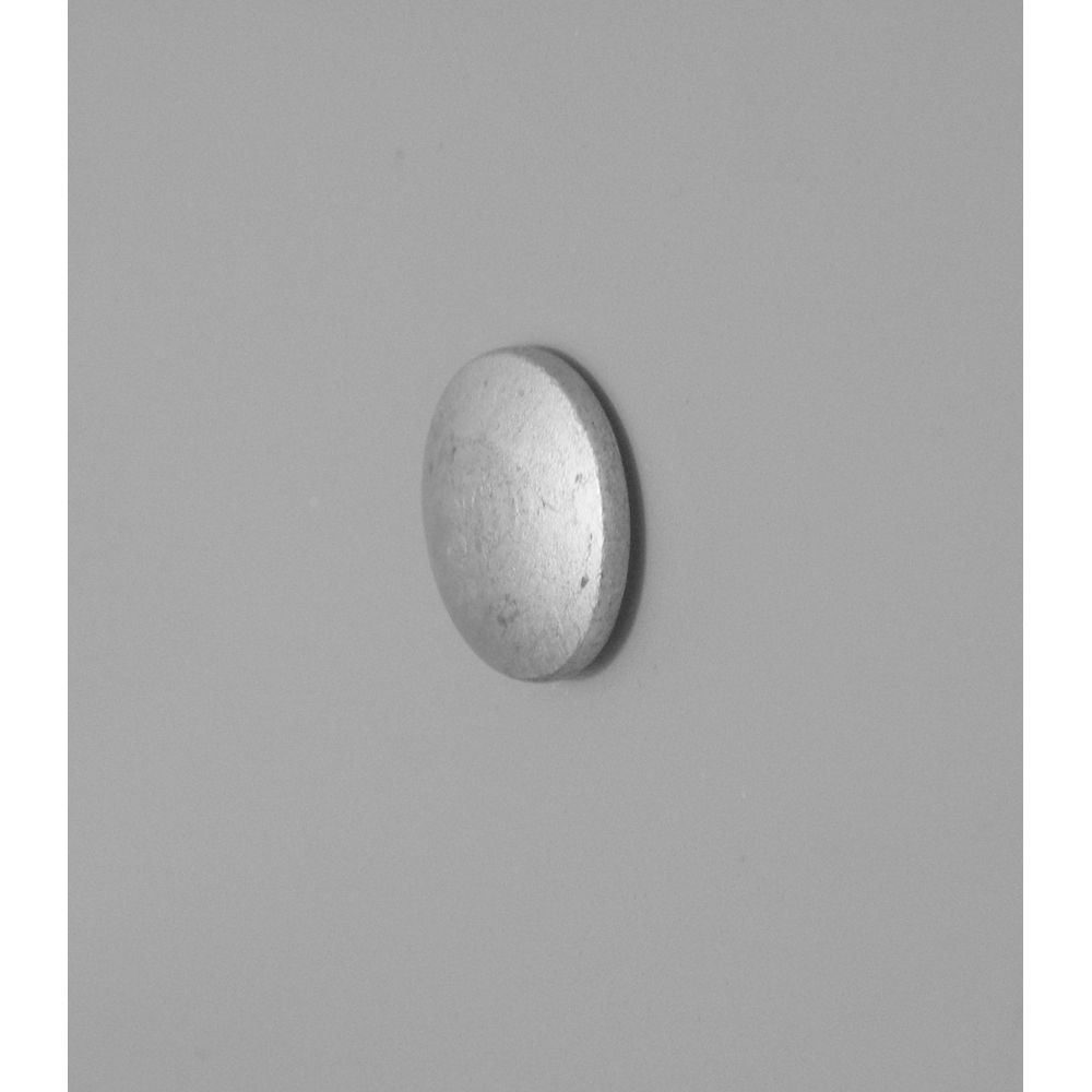 100 goujons à bague Torktainer- acier/acier à tête extra large à Ø7,9x31,75mm - SCELL-IT - TT4B-BC