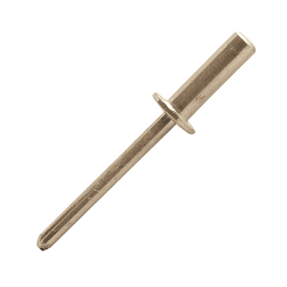 1000 rivets étanches à inox A4/inox A4 à tête plate à Ø4x12mm - SCELL-IT - W4D4012-BC