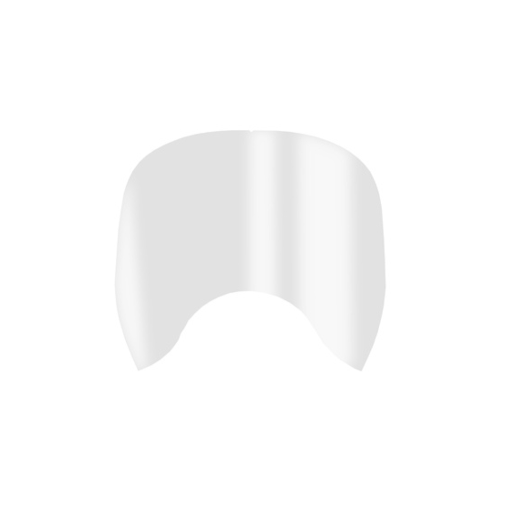 Film protecteur transparent pour MP600 x25 pièces - SINGER - ECRAN600