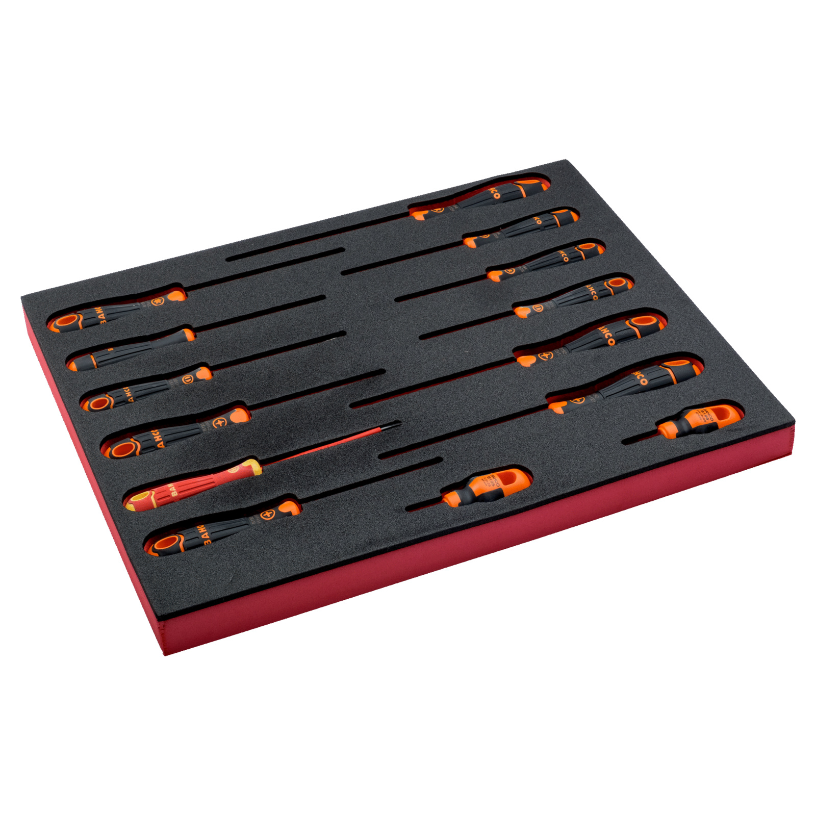 Jeu de tournevis 14 pcs vis fente/Phillips/Pozidriv/TORX module mousse Fit&Go BAHCO - FF1F1009