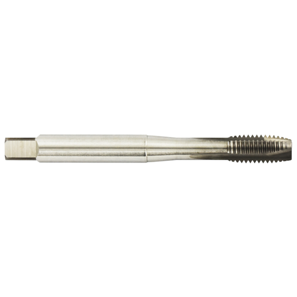 Taraud machine Standard HSS-E5 -M MF -DIN371 -Forme B -6H -Queue renforcée / Ø: 8 X 1 TIVOLY - 160252100800100