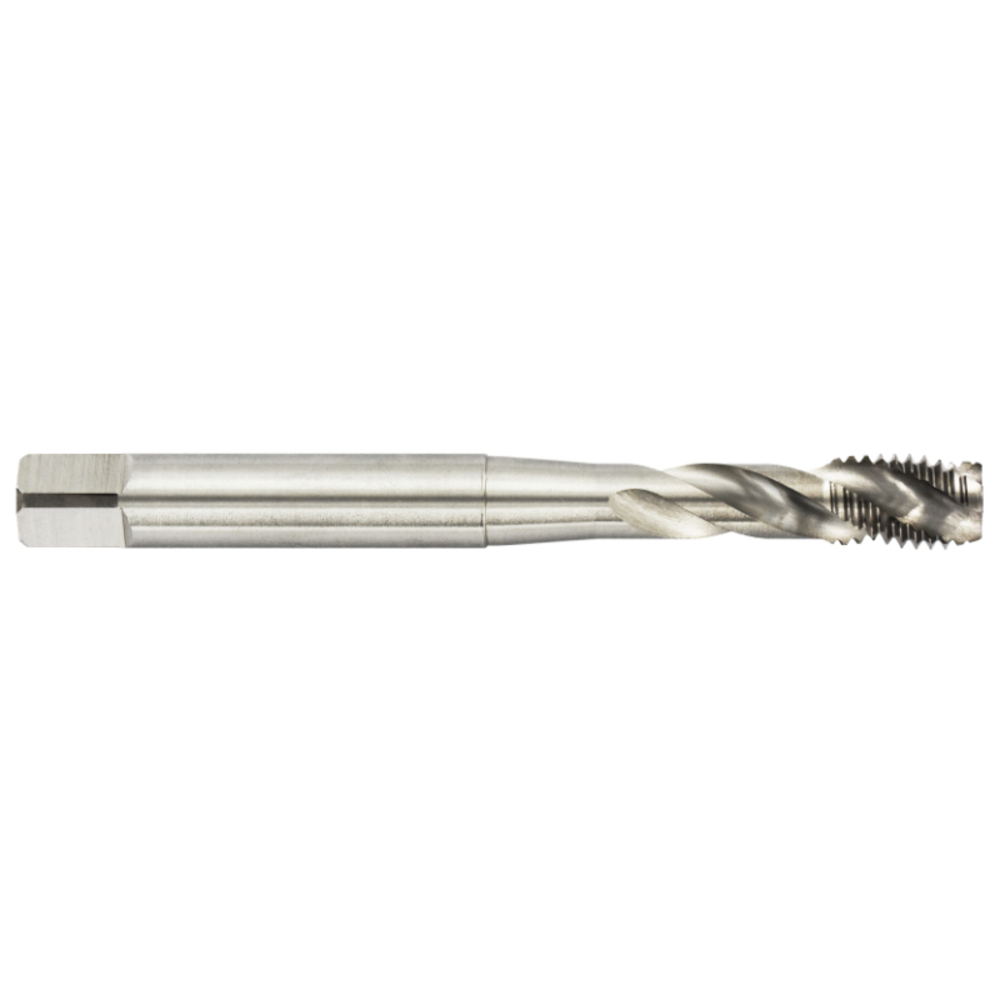 Taraud machine Standard HSS-E5 -M MF -DIN 371 -Forme C -6H -Queue renforcée / Ø: 8 X 1 TIVOLY - 160255100800100