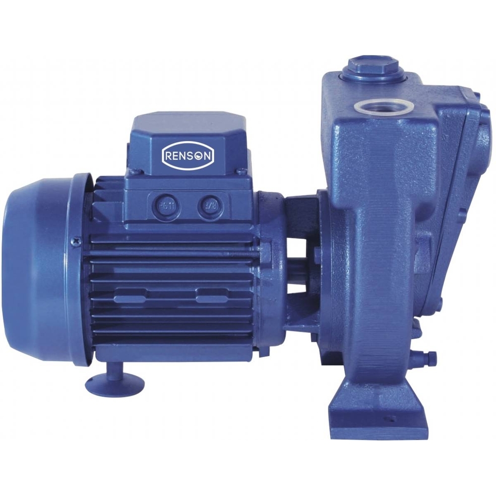 POMPE A ENGRAIS MONO 80L/MIN MOTEUR 230x400V - 0,44KW - RENSON - 110815
