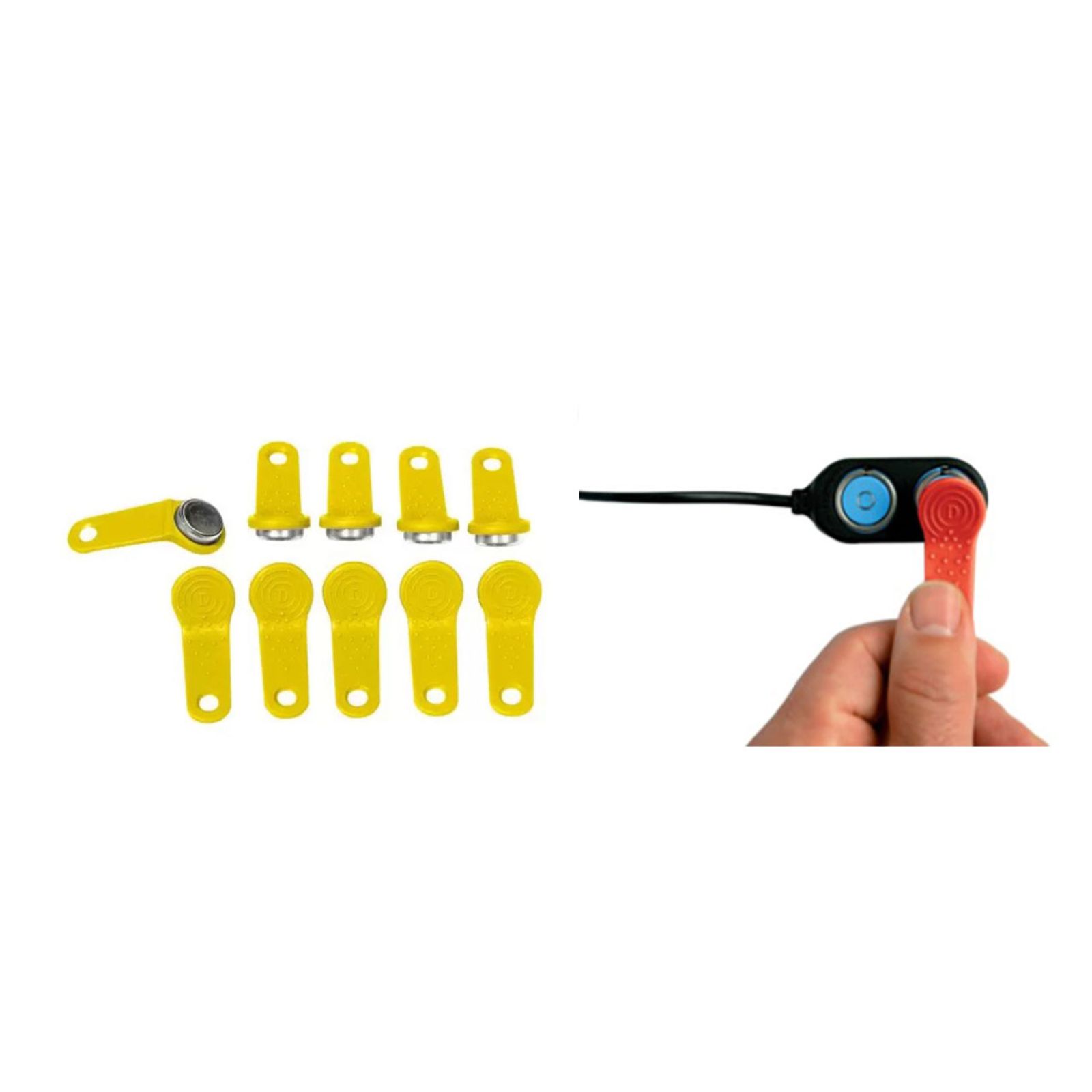 KIT DE TRANSFERT DE DONNEES POUR GESTION MCBOX CUBE RENSON - 23172/CJ