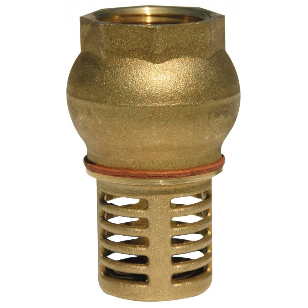 CLAPET DE PIED + CREPINE LAITON FEMELLE 2''1/2 - RENSON - 362194