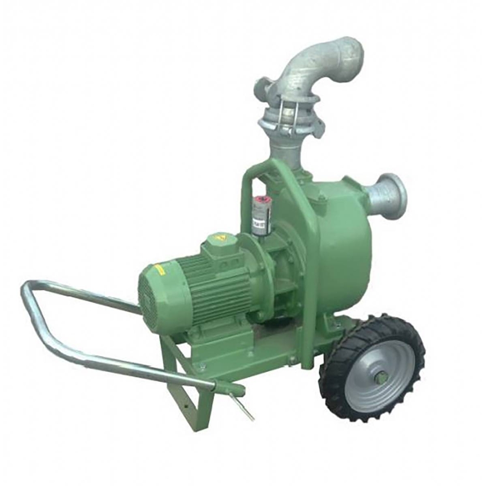 POMPE ELECTRIQUE S85 S/CHARIOT AUTO AMORCANTE 4KW - RENSON - 817285