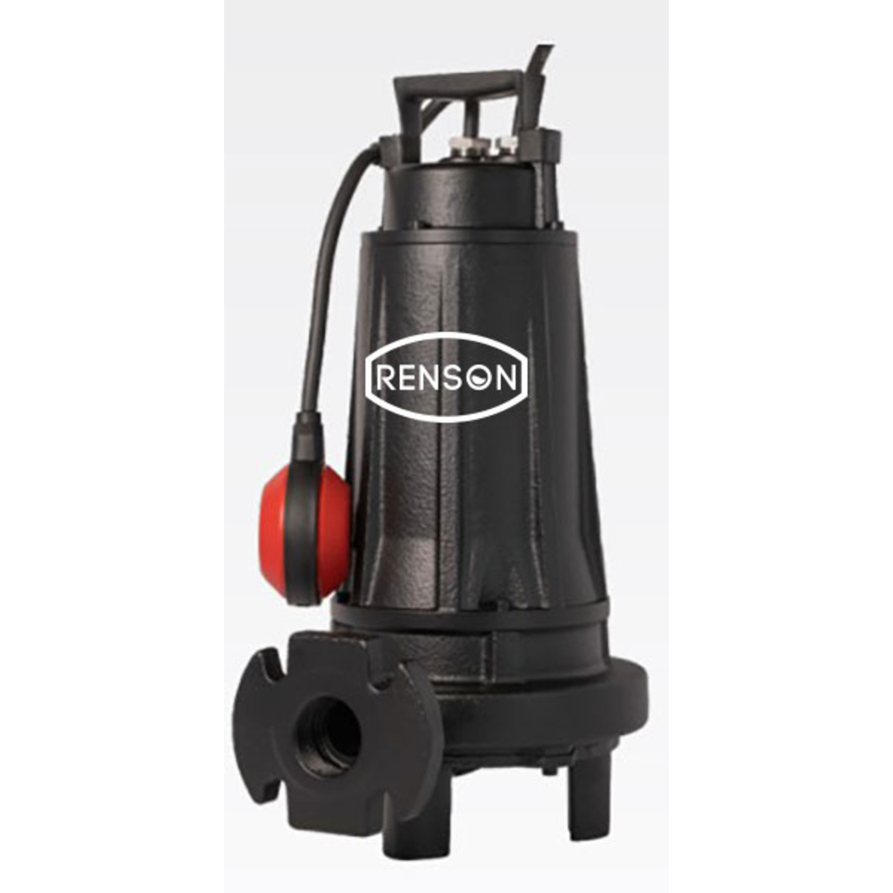 POMPE DE RELEVAGE 380V 1,1KW FONTE EAUX CHARGEES VERT. DN32 - RENSON - 817743