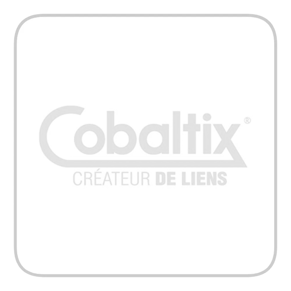 ELINGUE SANGLE PLATE B5000 N°2 lg 8m CU 5000 KG COBALTIX - SB2058