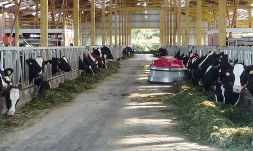 Désinfection bâtiment d'élevage et cheptel : matériel et hygiène