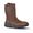 Bottes de sécurité Cuir