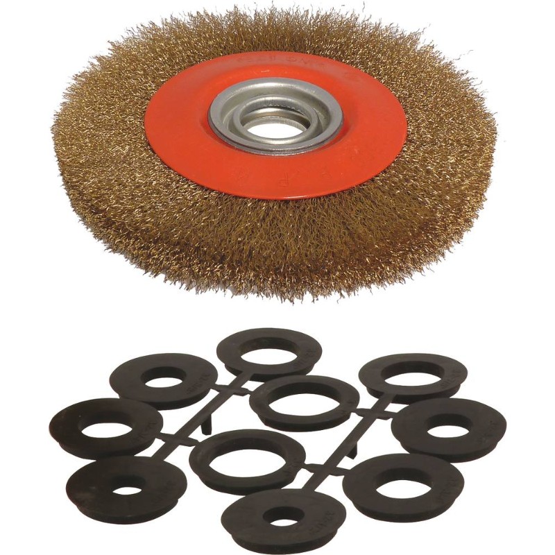 BROSSE MÉTALLIQUE 200X32MM AVEC BAGUES M - UNIVERSEL - 15530