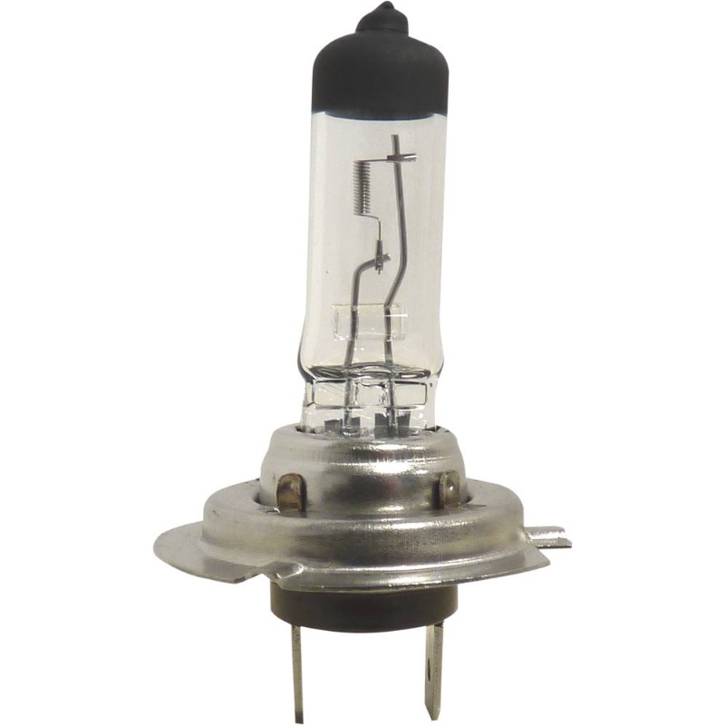 LOT 10 AMPOULE-16864- H7 24V 70W - 1686410