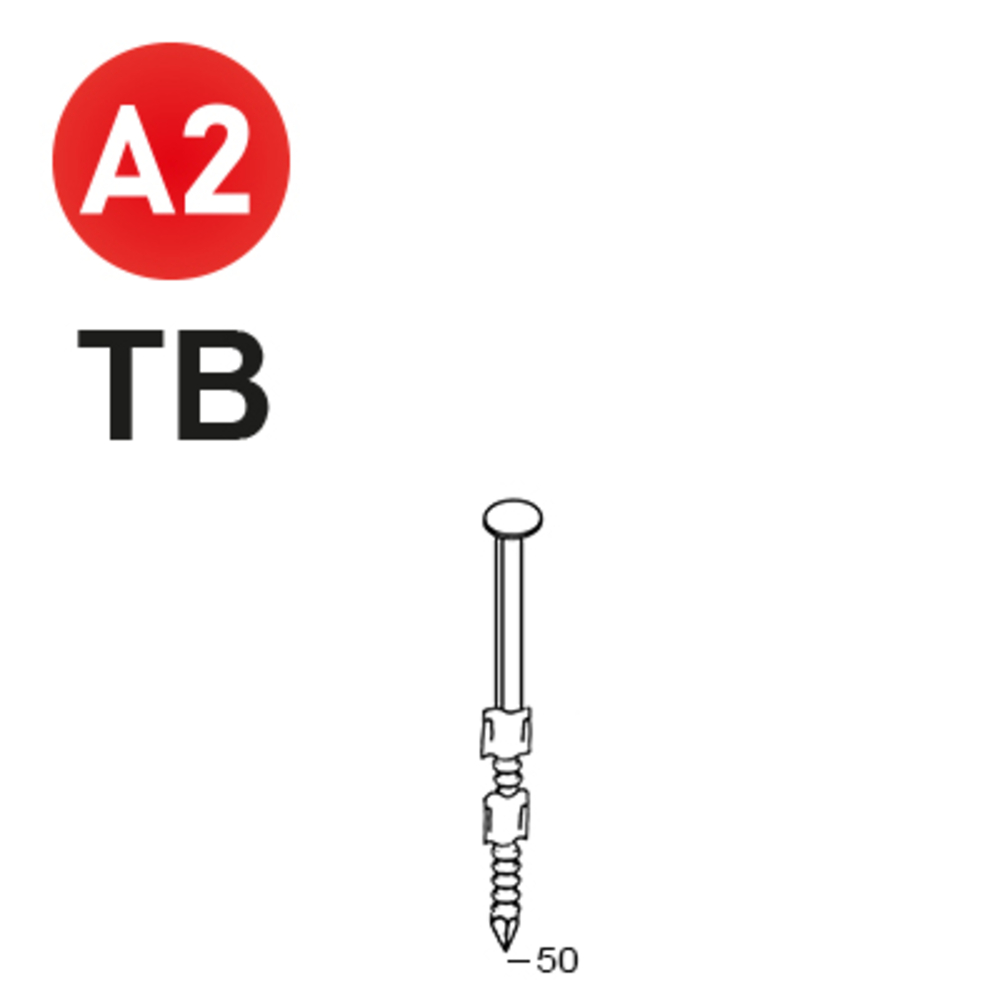 2200 POINTES 20° 29 X 50 ANNELÉES INOX TB - ASLAFIX - 20290508