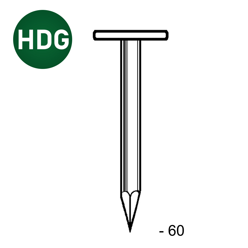 TEL LISSE HDG 2,8X60 - 5 KG - ASLAFIX - 5L280605