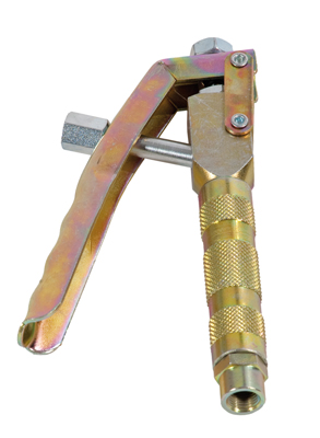 Pistolet a graisse f 1/4' BUISARD - 742994