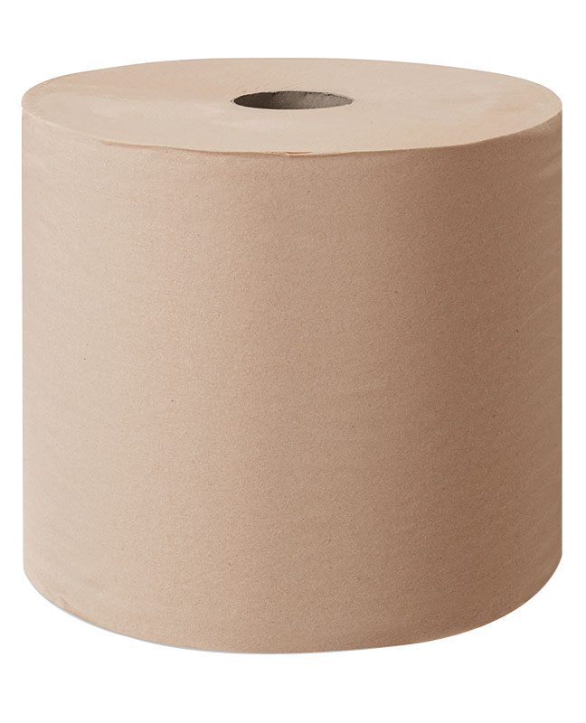 2 bobines ouate chamois 250x210mm 800fts BUISARD - 743371