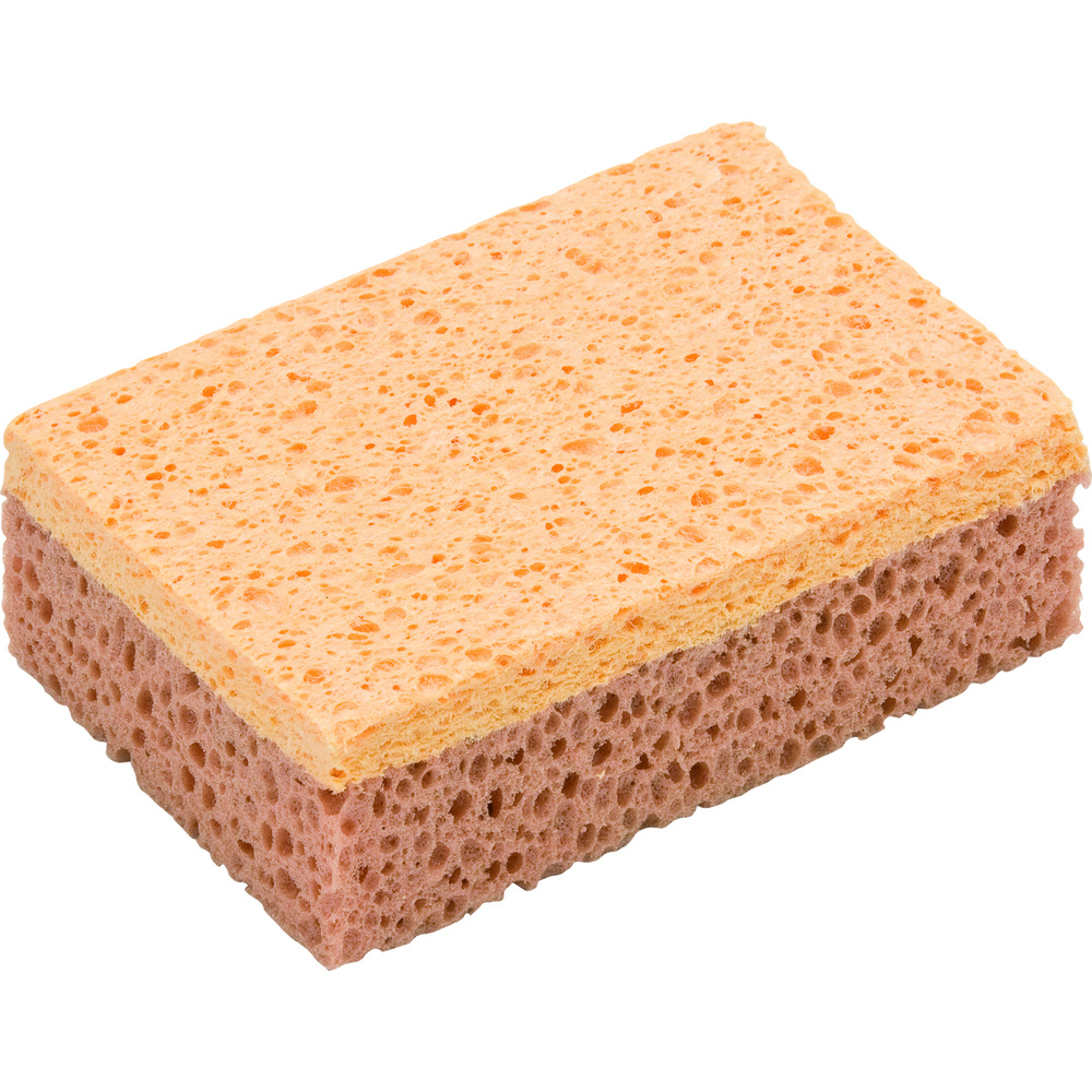 Éponge 2-en-1 végétale et synthétique - NESPOLI - 49074