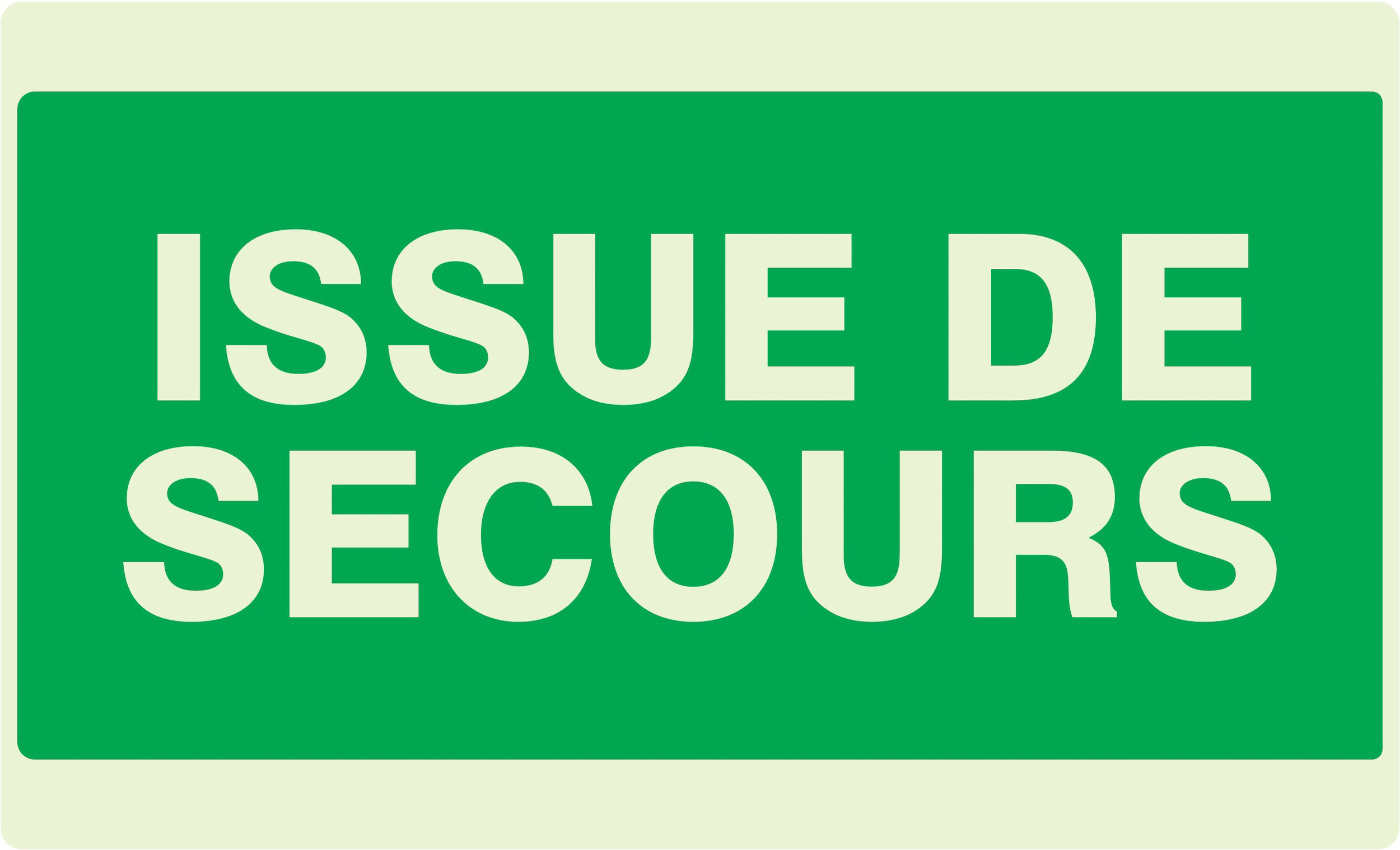 PANNEAU ISSUE DE SECOURS LUMINESCENT 330X200MM TALIAPLAST - 631402
