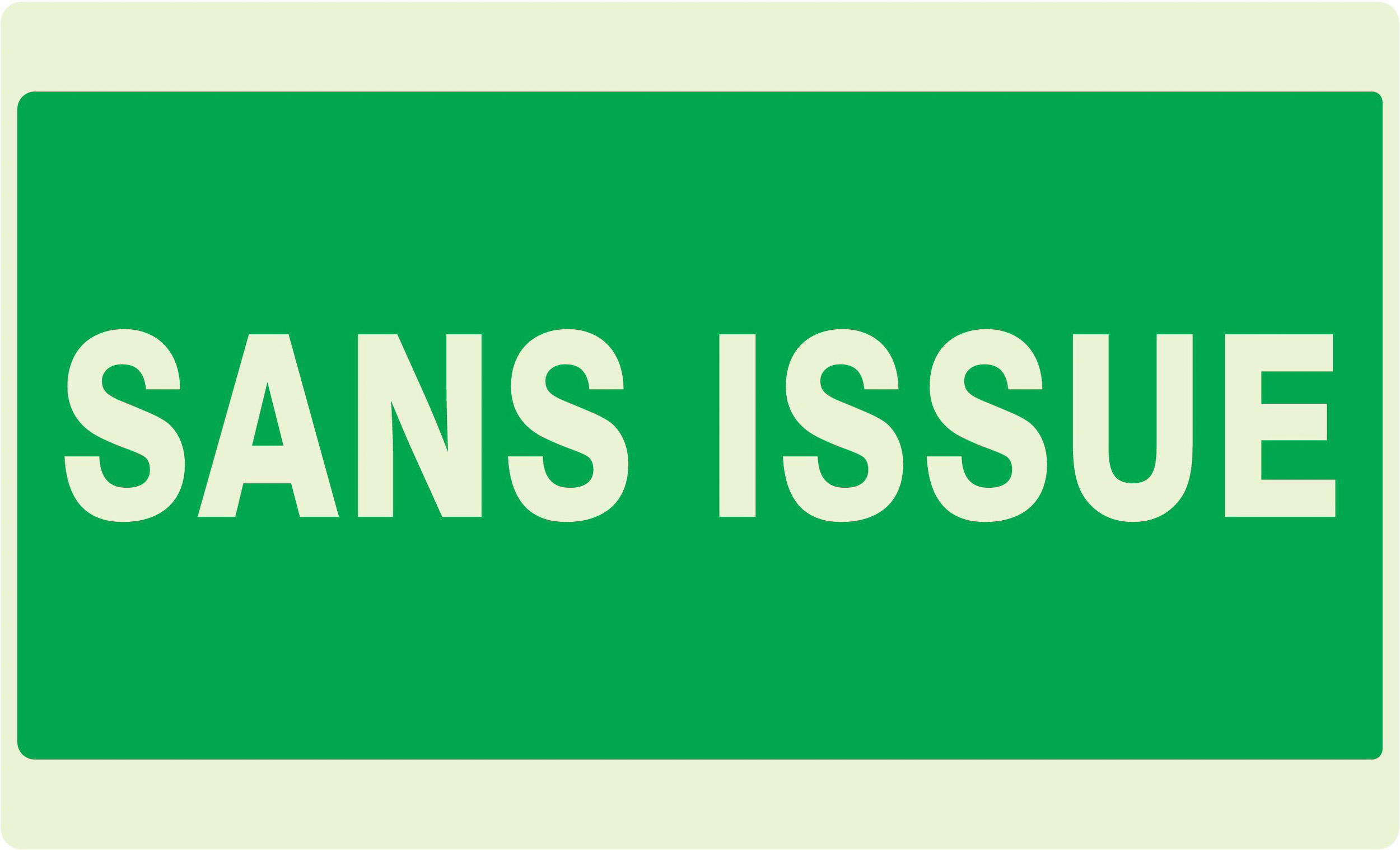 PANNEAU SANS ISSUE (SECOURS) LUMINESCENT 330X200MM TALIAPLAST - 631416