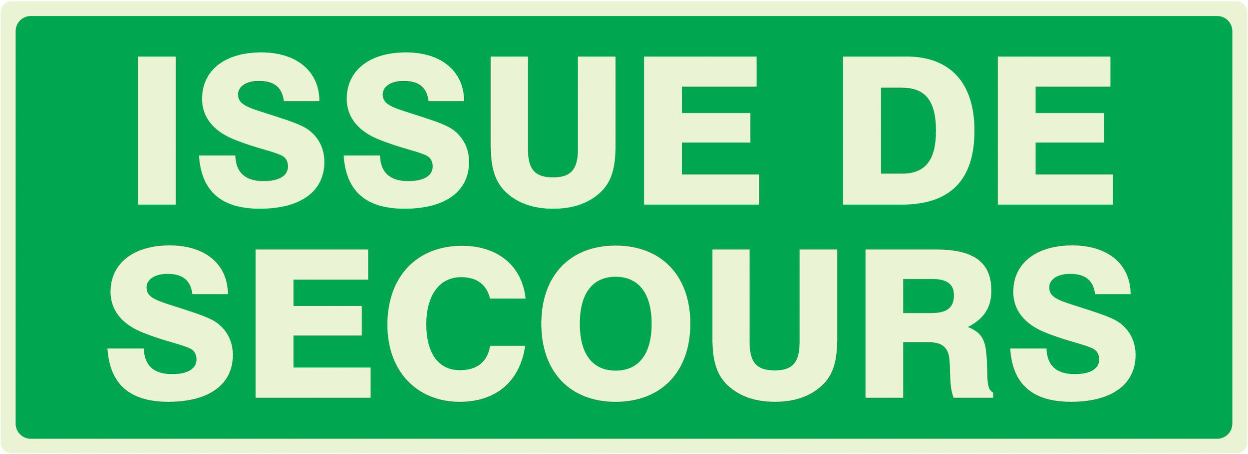 PANNEAU ISSUE DE SECOURS LUMINESCENT 330X120MM TALIAPLAST - 636402