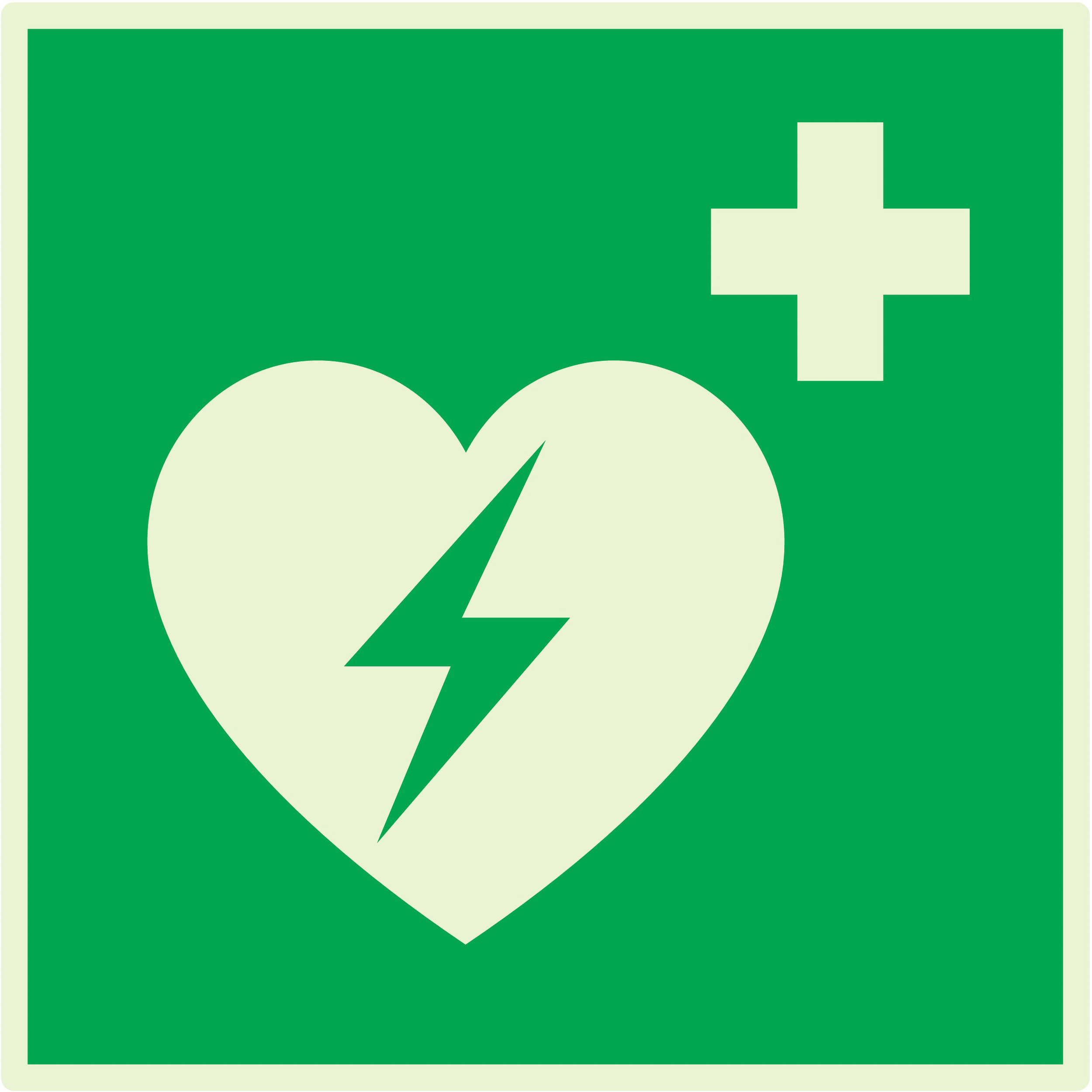 DEFIBRILLATEUR AUTOMATIQUE EXTERNE LUMINESC. 200x200mm TALIAPLAST - 638421